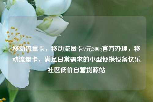 移动流量卡，移动流量卡9元300g官方办理，移动流量卡	，满足日常需求的小型便携设备亿乐社区低价自营货源站  第1张